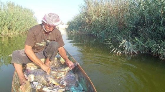 تكثيف الجهود الرقابية للحد من الصيد الجائر في أهوار ميسان