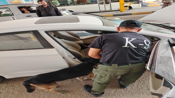 سيطرات النجف الخارجية تستمر بتنفيذ الخطة التنظيمية