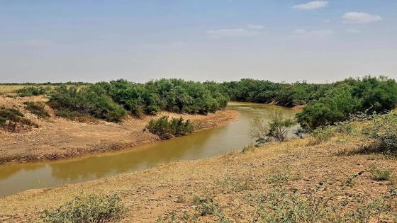ميسان تتجه لحصاد مياه الأمطار.. جولات ميدانية لوضع